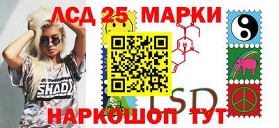 apvp Гатчина