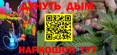 apvp Гатчина
