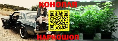 apvp Гатчина