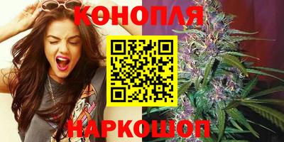 apvp Гатчина
