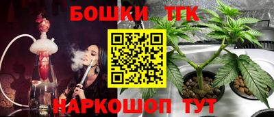 бошки Гагарин
